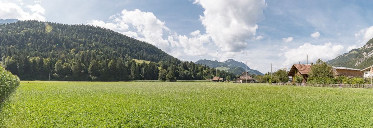 Foto Bauplatz